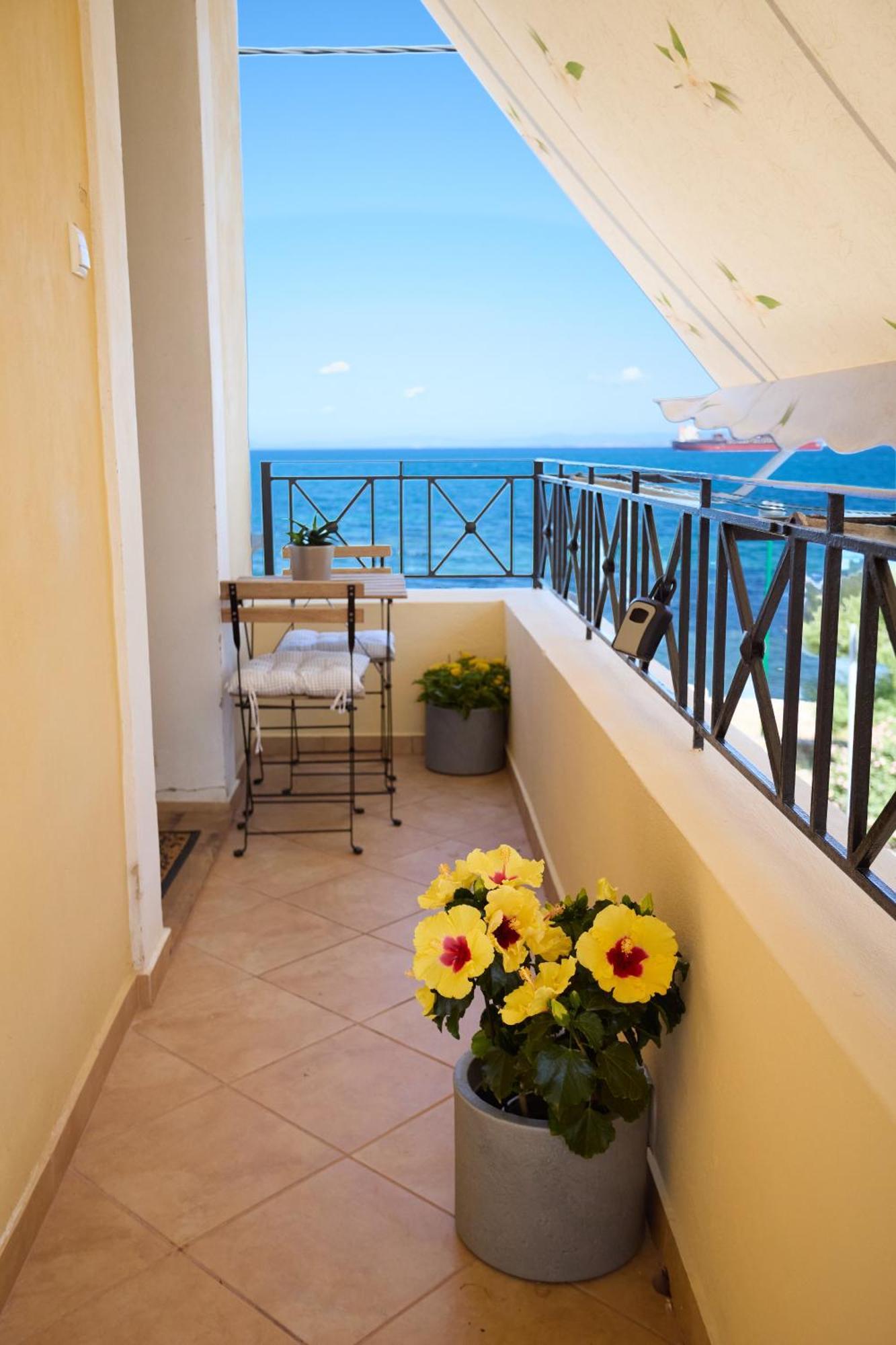 Windmills Chios Apartment *